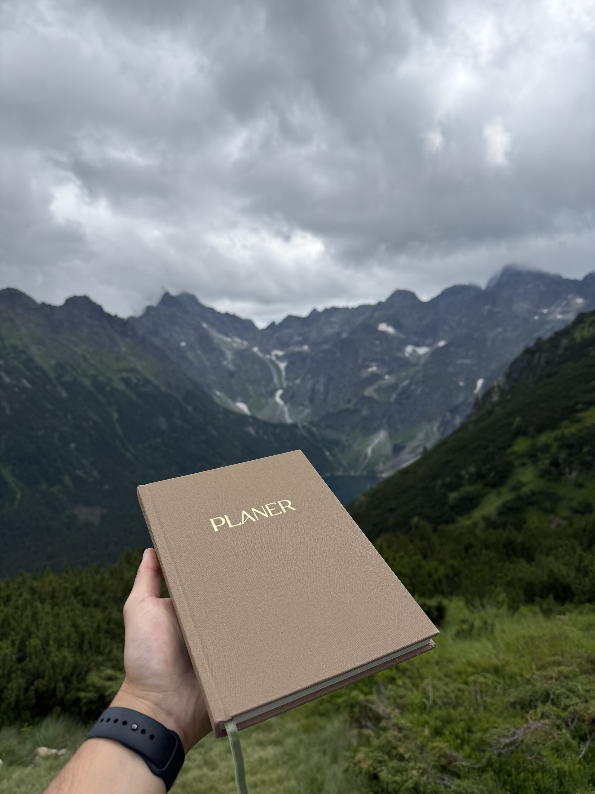 Planer Górski - obrazek 2